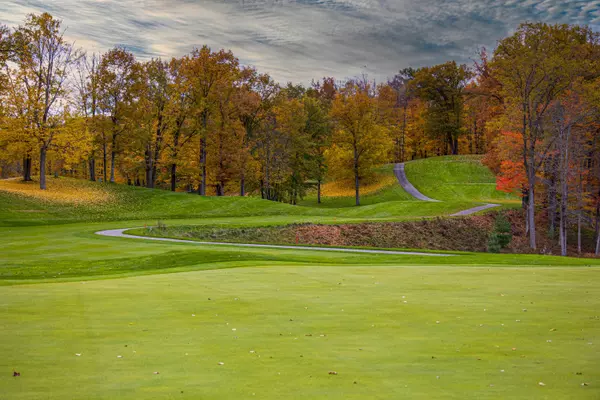 Canadian Lakes, MI 49346,6685 Cedar Trace