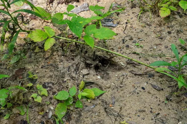 East Jordan, MI 49727,4959 Sloop Road