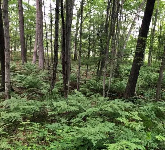 Bitely, MI 49309,7752 N Felch
