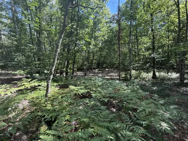 Hesperia, MI 49421,0 5 Mile Road