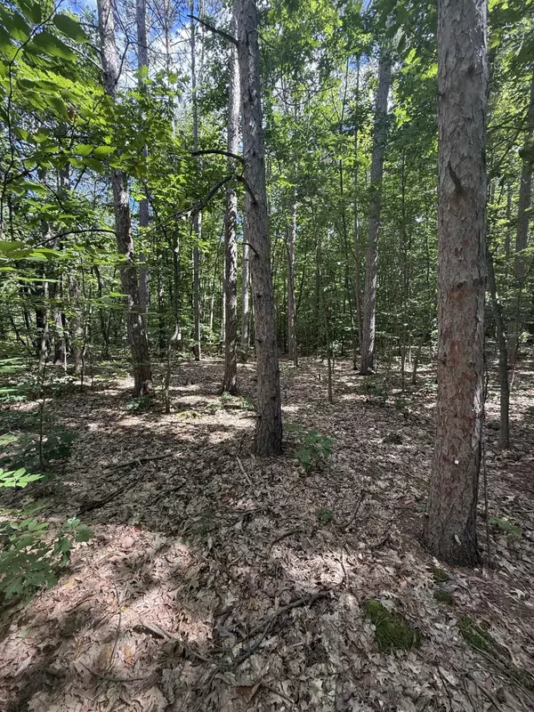 Hesperia, MI 49421,0 5 Mile Road