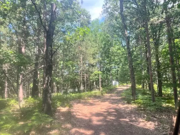 Irons, MI 49644,6142 N Sunshine Drive