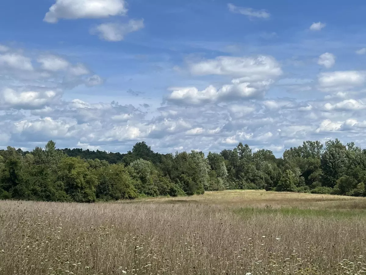 Hillsdale, MI 49242,3091-1 S Hillsdale Road