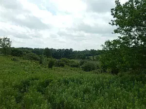 Montgomery, MI 49255,0 W Territorial Road