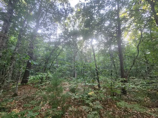 Holton, MI 49425,V/L Whitmire Road