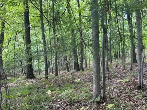 Twin Lake, MI 49457,3518 Sunrise Ridge #22