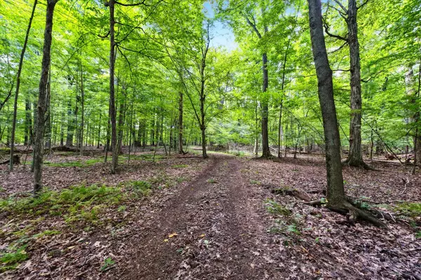 Allegan, MI 49010,15 Acre 125th Avenue