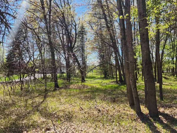 Canadian Lakes, MI 49346,6923 Abbey Lane