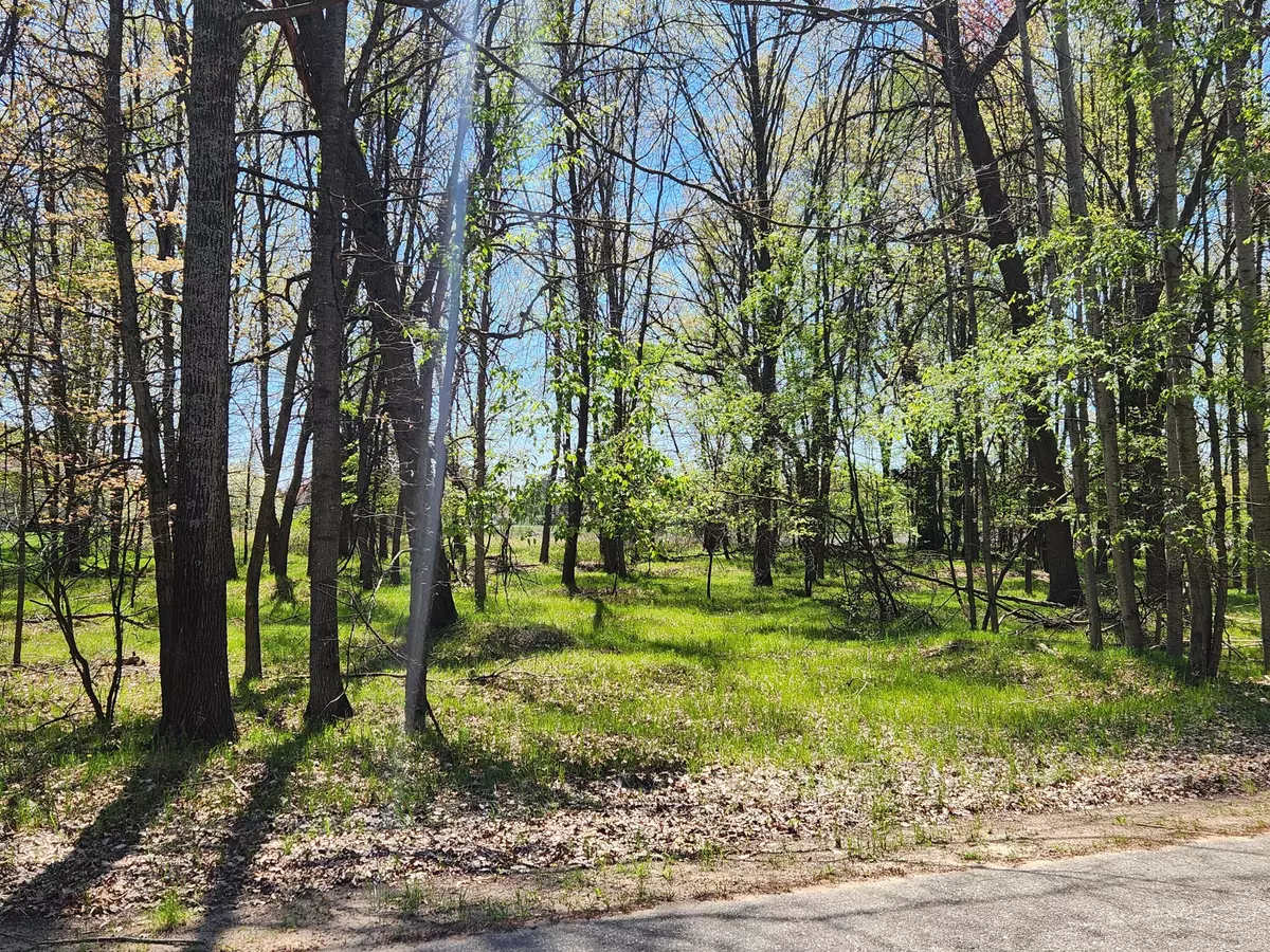 Canadian Lakes, MI 49346,6923 Abbey Lane