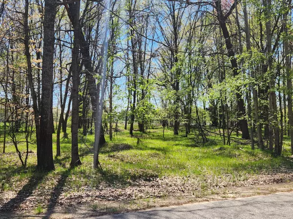 6923 Abbey Lane, Canadian Lakes, MI 49346