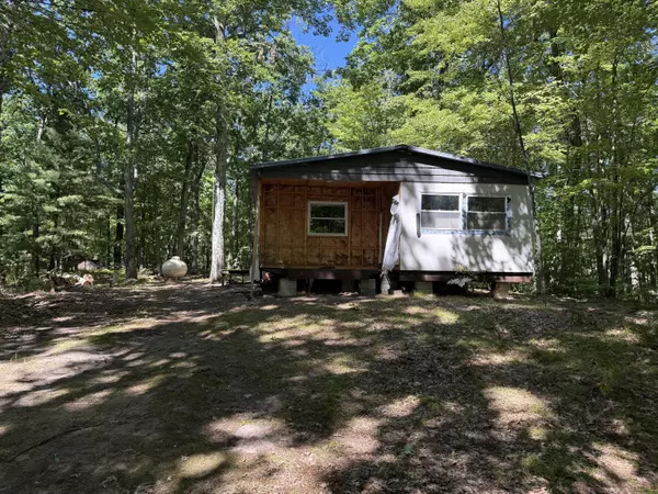 Reed City, MI 49677