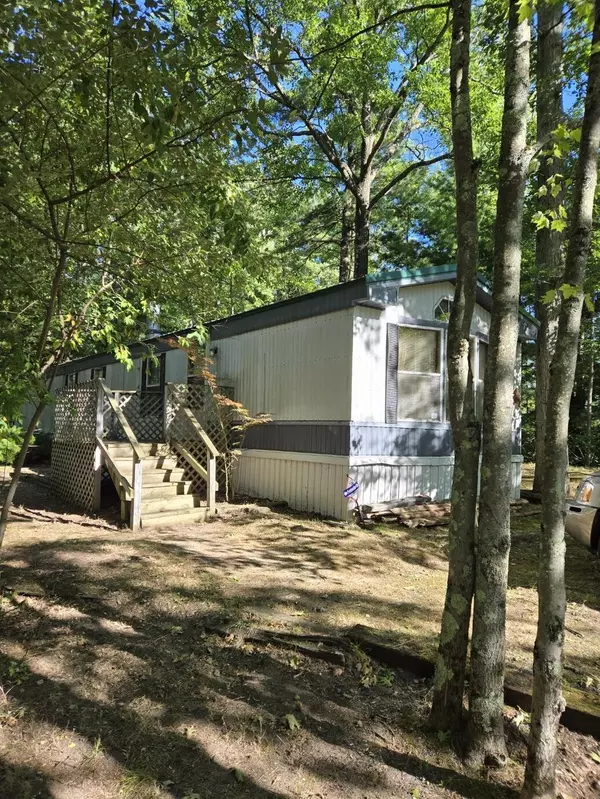 Bitely, MI 49309,8776 N Blair Drive