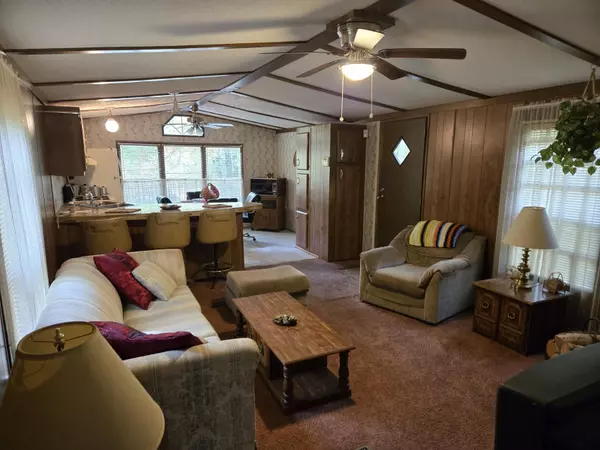 Bitely, MI 49309,8776 N Blair Drive