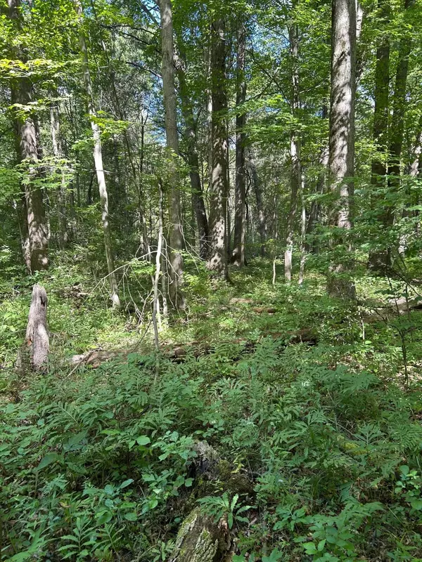 Shepherd, MI 48883,3250 W Isabella Road