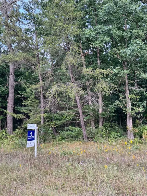 Baldwin, MI 49304,M-37