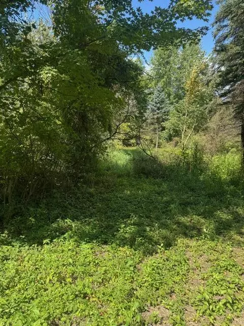 Hastings, MI 49058,Parcel B Maple Grove