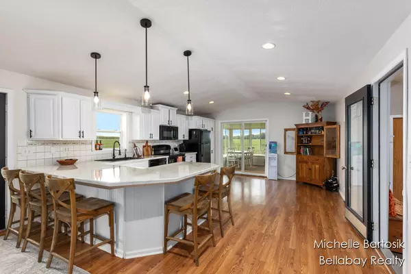 Belding, MI 48809,10797 Belding Road