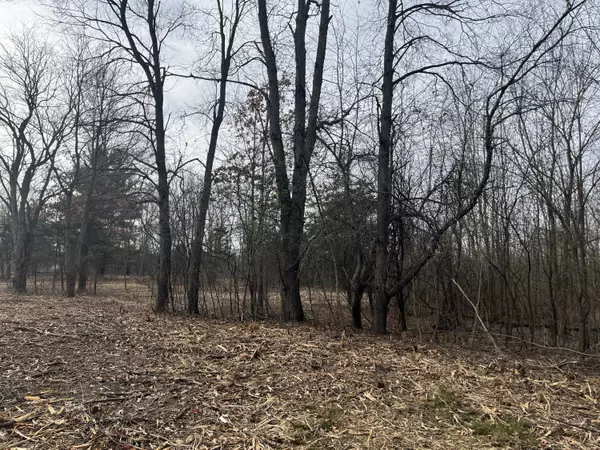 Chelsea, MI 48118,0 Old US 12