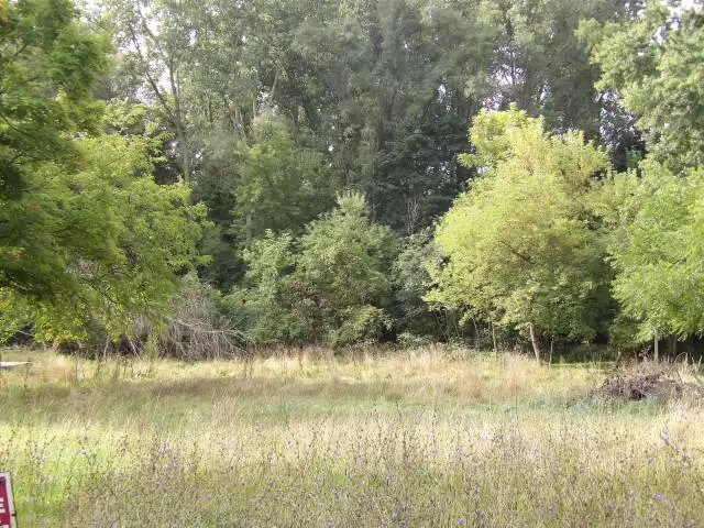 211 G W Avenue, Kalamazoo, MI 49004