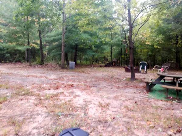 Mount Pleasant, MI 48858,8653 E Remus Road