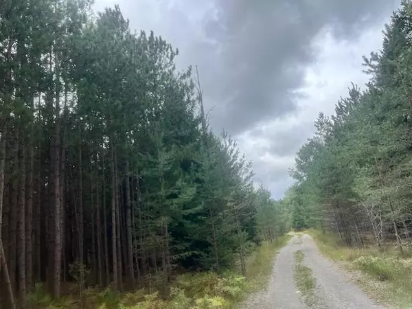 Free Soil, MI 49411,2269 W Treml Road