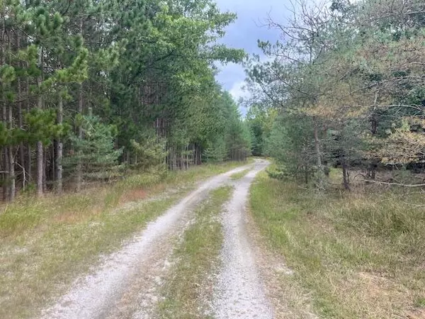 Free Soil, MI 49411,2269 W Treml Road