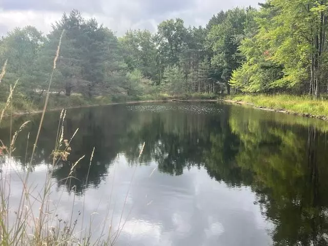 2269 W Treml Road, Free Soil, MI 49411