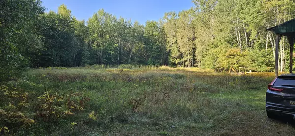 Bannister, MI 48807,1 Peet Road