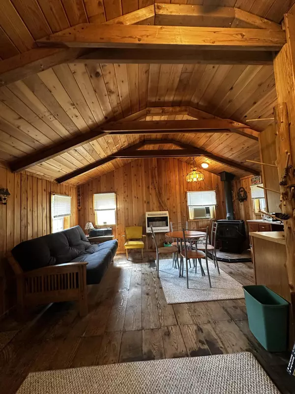 Baldwin, MI 49304,3743 N Peacock Trail