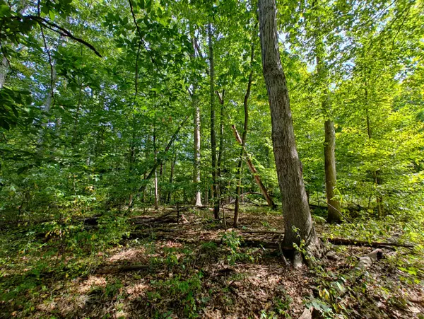 Zeeland, MI 49464,VL 80th Avenue