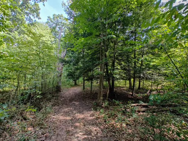 Zeeland, MI 49464,VL 80th Avenue