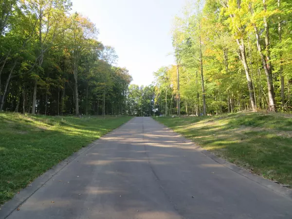 Caledonia, MI 49316,8735 Rainbows End SE Court #Parcel #4