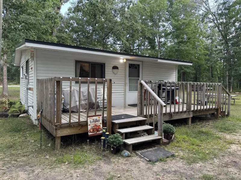10349 N Irons Road, Irons, MI 49644