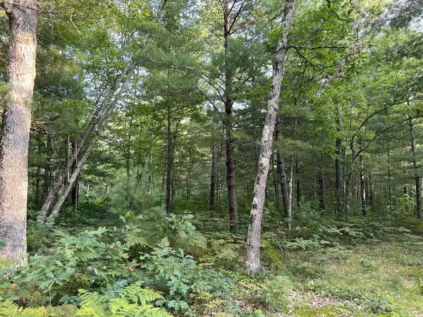 Brethren, MI 49619,Swihart Road