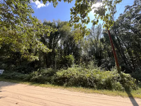 Grass Lake, MI 49240,Central Drive
