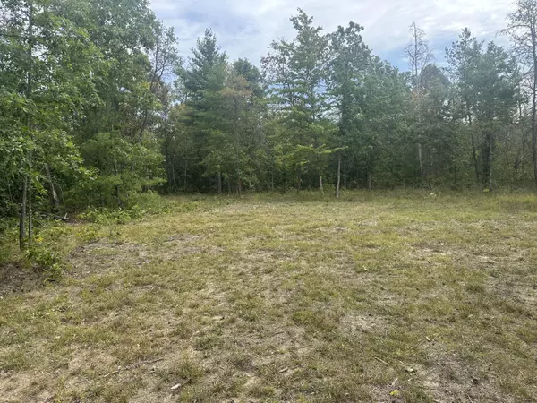 Idlewild, MI 49642,00 Spruce Road