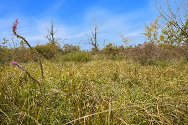 Athens, MI 49011,Marl Lake Road