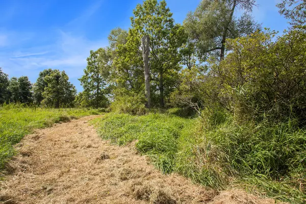 Athens, MI 49011,Marl Lake Road