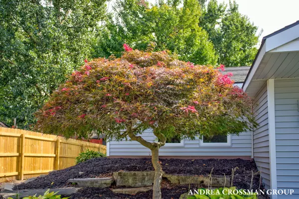 Kentwood, MI 49508,828 Tierra SE Street