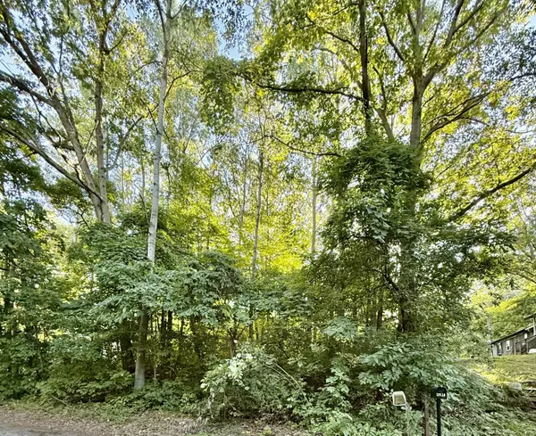 12432 McMurty Drive, Sand Lake, MI 49343
