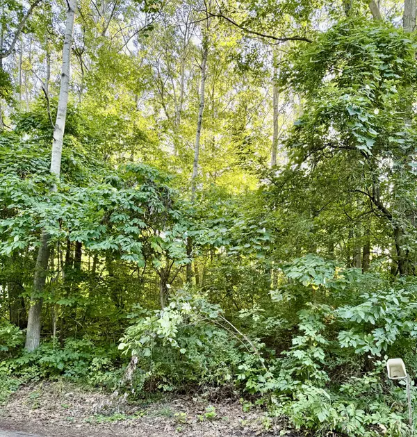 Sand Lake, MI 49343,12432 McMurty Drive