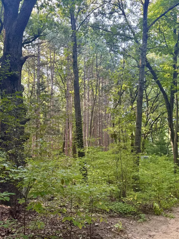 Kalamazoo, MI 49009,10791 West Main Street