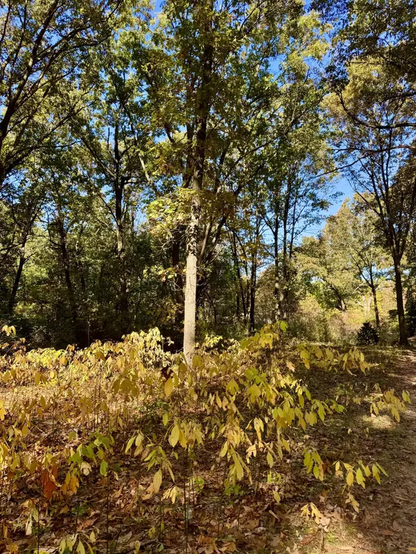 Kalamazoo, MI 49009,10791 West Main Street