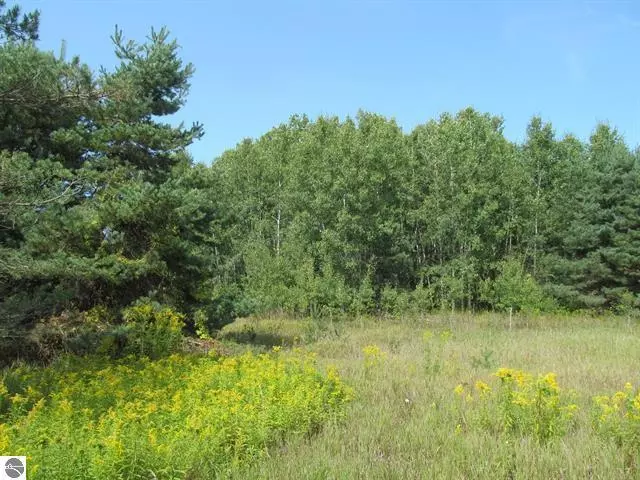 0 E M-55 Highway, Cadillac, MI 49601