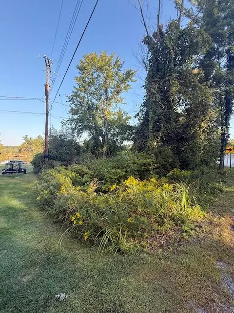 Greenville, MI 48838,10345 Morgan Mills NE Avenue