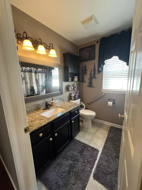 Ionia, MI 48846,111 Foxtail Drive