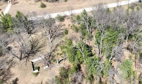 Idlewild, MI 49642,V/L Lake Drive