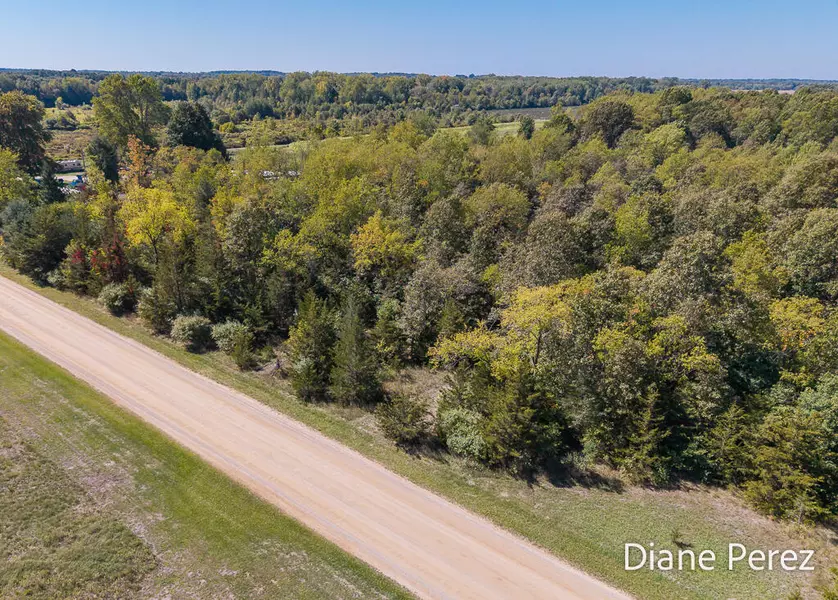 60th Street, Fennville, MI 49408