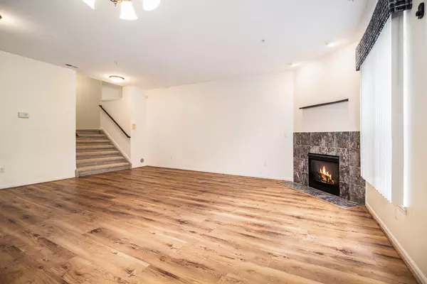 Ann Arbor, MI 48104,3164 Asher Road