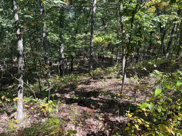 Pullman, MI 49450,VL 52nd Street